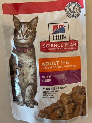 KEDİ MAMASI