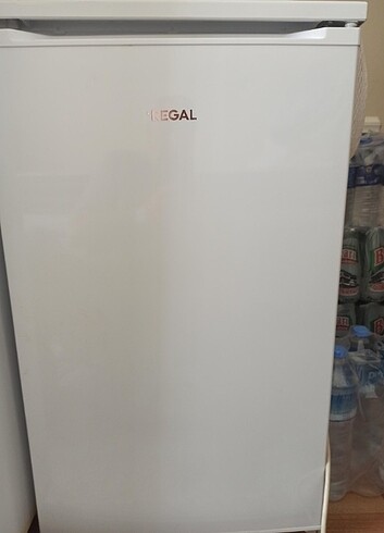 Regal Mini buzdolabı 