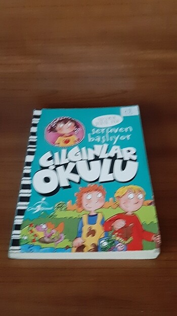 ÇILGINLAR OKULU