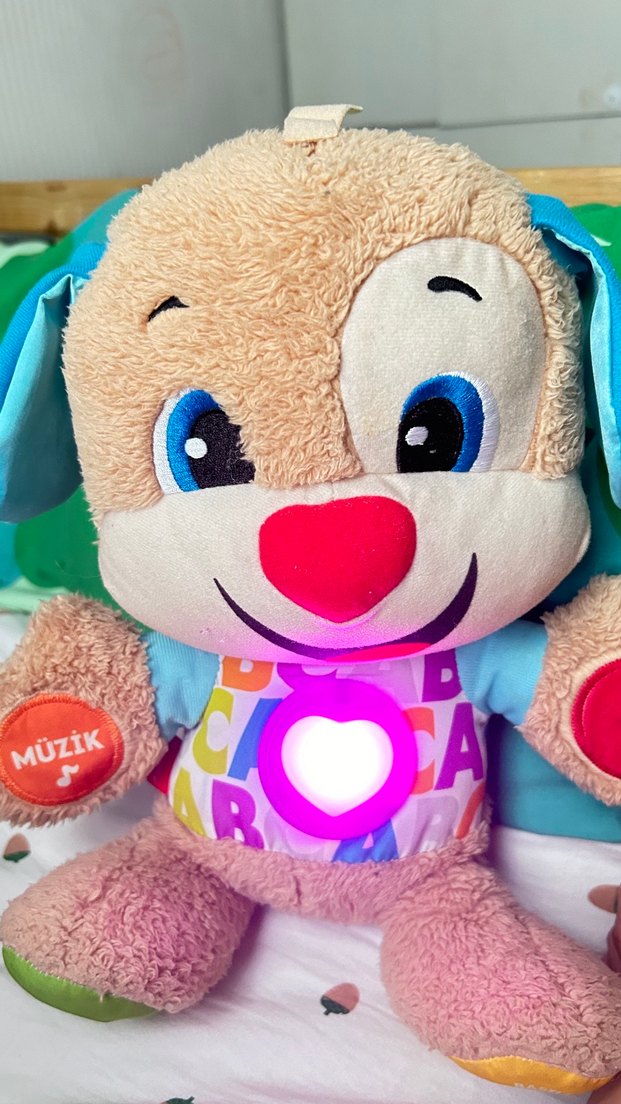 Renkli Eğitici Peluş Köpek Oyuncak - Görsel 4