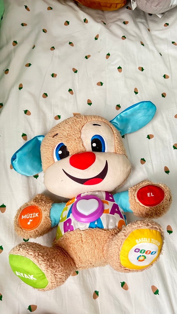 Renkli Eğitici Peluş Köpek Oyuncak - Görsel 2