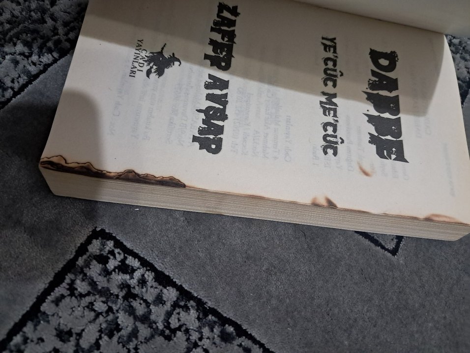 Dabbe Korku Romanı - Zafer Avşar - Görsel 3