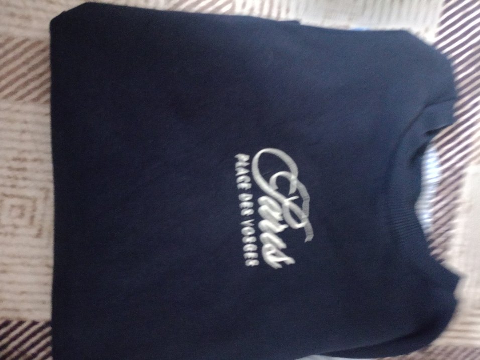 Paris Nakışlı Lacivert Kadın Sweatshirt - Görsel 3