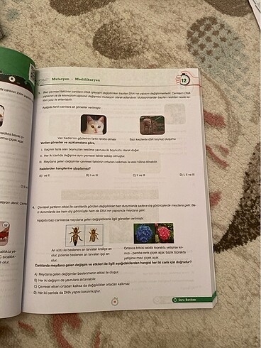  Beden Renk 8.sınıf Fen bilimleri test kitabı