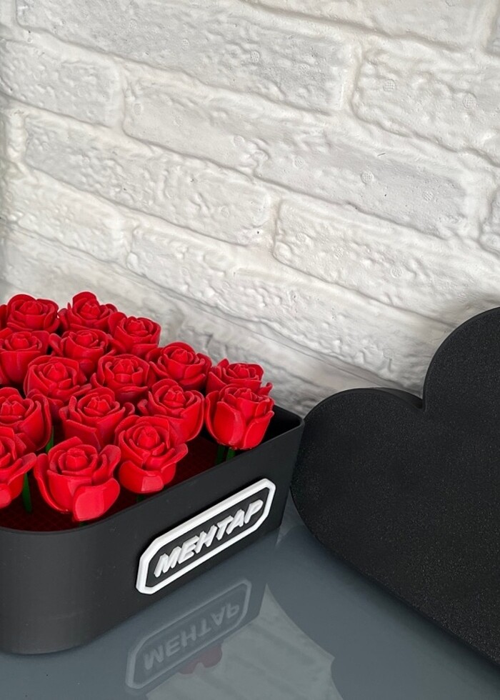 Kalpli kutu - Görsel 3