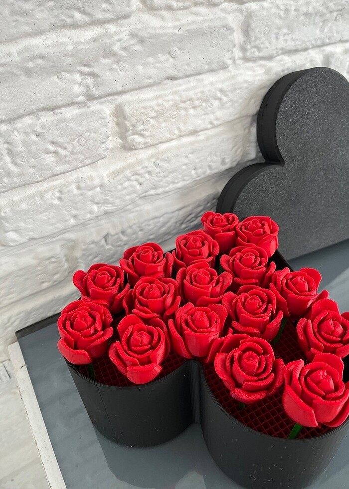 Kalpli kutu - Görsel 4