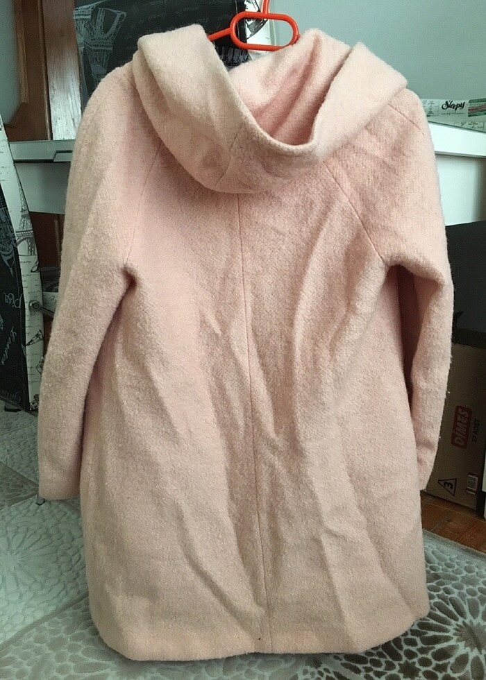 Bayan kaban - Görsel 3