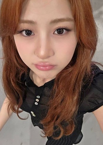 hamster sung pc
