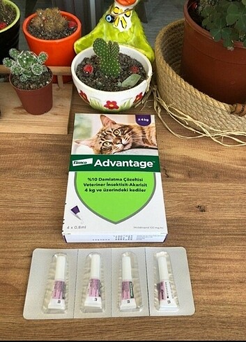  Advantage kedi dış parazit