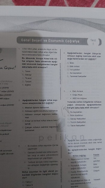Beden Renk Sosyal bilgiler öğretmenliği kpss