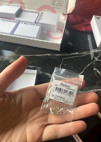 Pandora Yazı Yazılabilir Anne Sallantılı Charm - Görsel 7