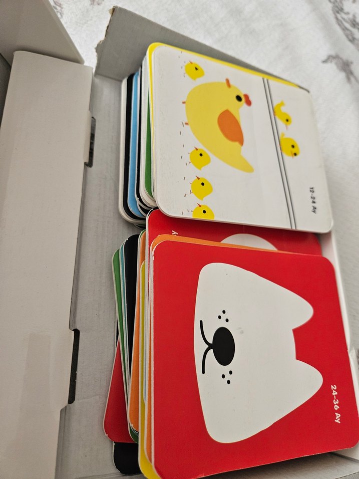 Zeka kartları - Görsel 5