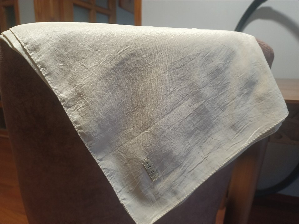 Bej rengi He qa marka parlak Kadın Şal - Görsel 2