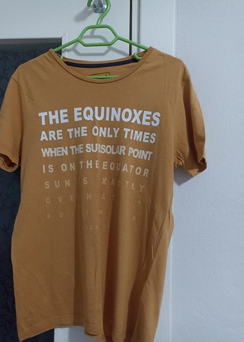 Kahverengi Baskılı Süet Erkek Tişört - Görsel 3