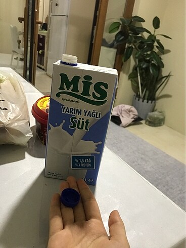 Mis süt