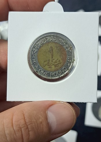 Özel Kapamasında MISIR 2008 1 POUND - Görsel 2
