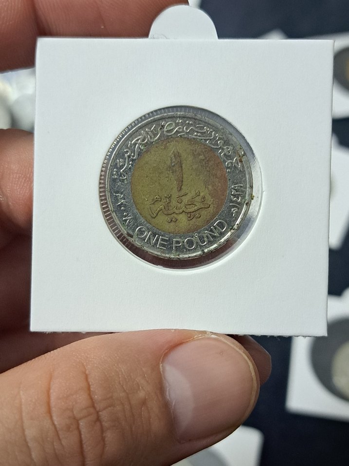 Özel Kapamasında MISIR 2008 1 POUND - Görsel 2