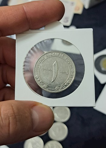 SUDAN 2011 YILI 1 POUND - Görsel 2