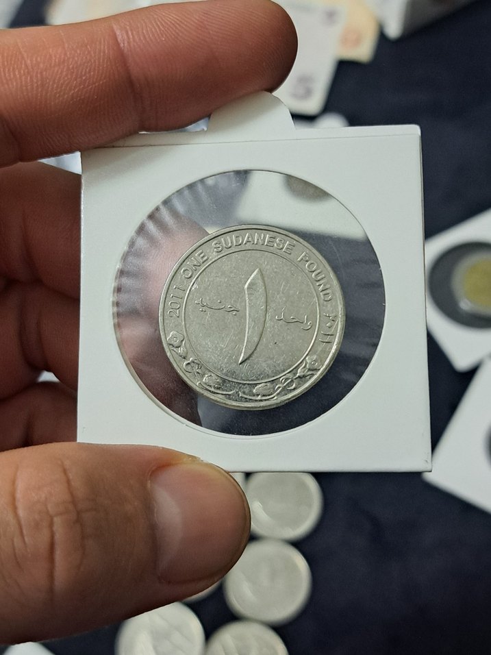 SUDAN 2011 YILI 1 POUND - Görsel 2