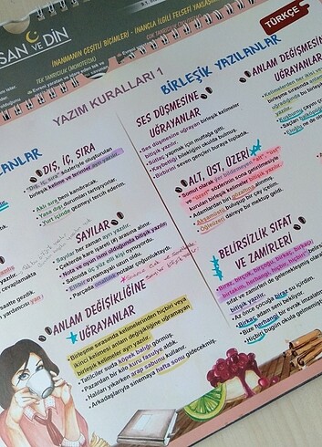 Beden Renk YKS DERS POSTERLERİ