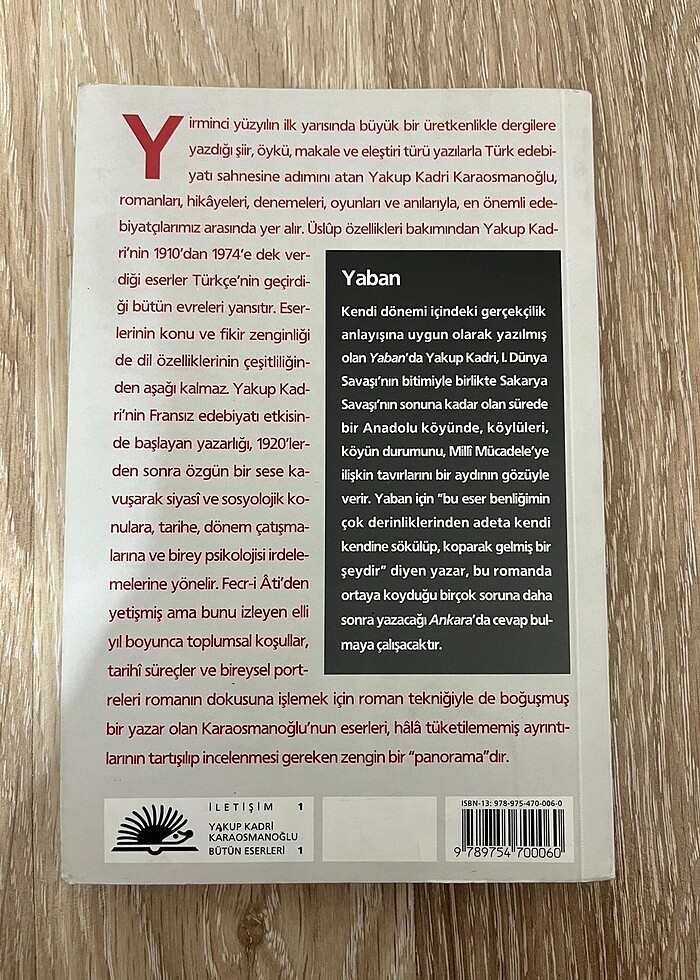 Yakup Kadri Karaosmanoğlu /Yaban Roman - Görsel 2