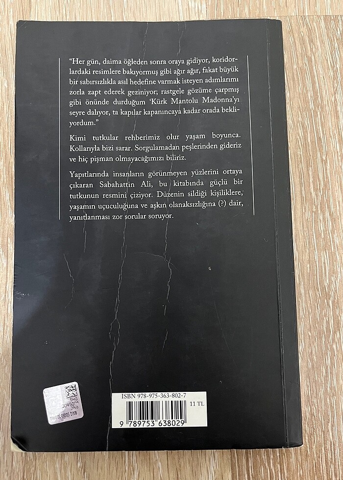 Sabahattin Ali Kürk Mantolu Madonna - Görsel 2
