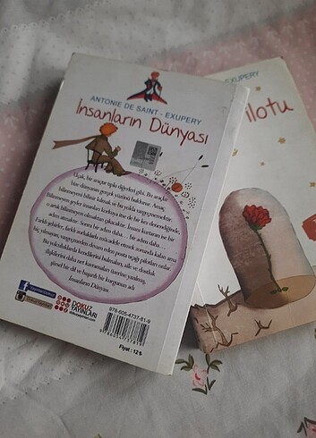 Antoine de Saint - Exupery| Savaş Pilotu/ insanların dünyası