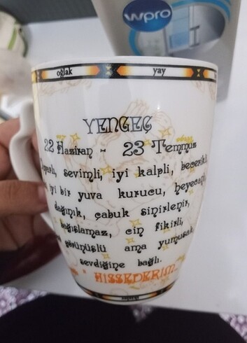 Yengeç burçlu kupa bardak 