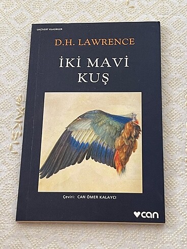 İki mavi kuş