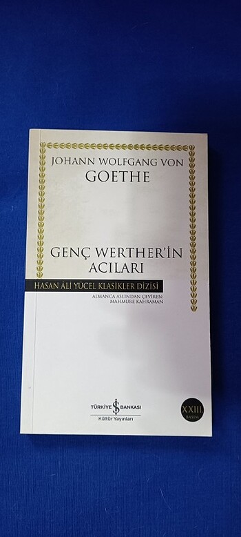 Genç Warther'in Acıları 