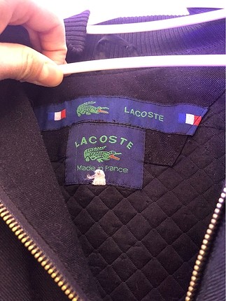 m Beden Lacoste