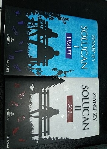 Solucan Zeynep Sey Roman
