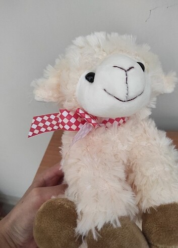 Diğer Peluş ???? oyuncak