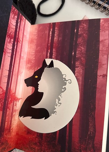 M. Rise'den "Avcı" ve "Çaylak" Roman Seti - Görsel 6