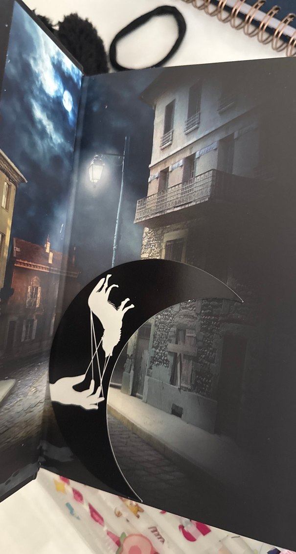 M. Rise'den "Avcı" ve "Çaylak" Roman Seti - Görsel 4