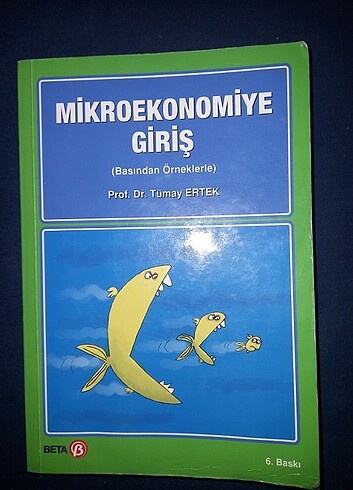 Tümay Ertek mikroekonomiye giriş