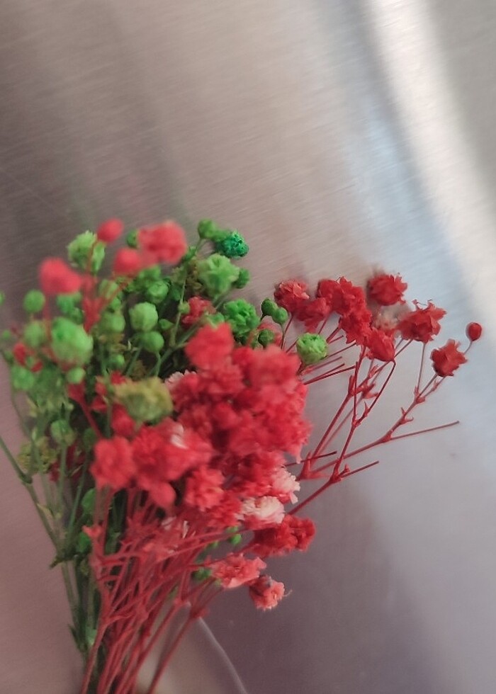 5 Adet Rengarenk Şoklanmış Cipso İle Hazırlanmış Mıknatıslı Dola - Görsel 2