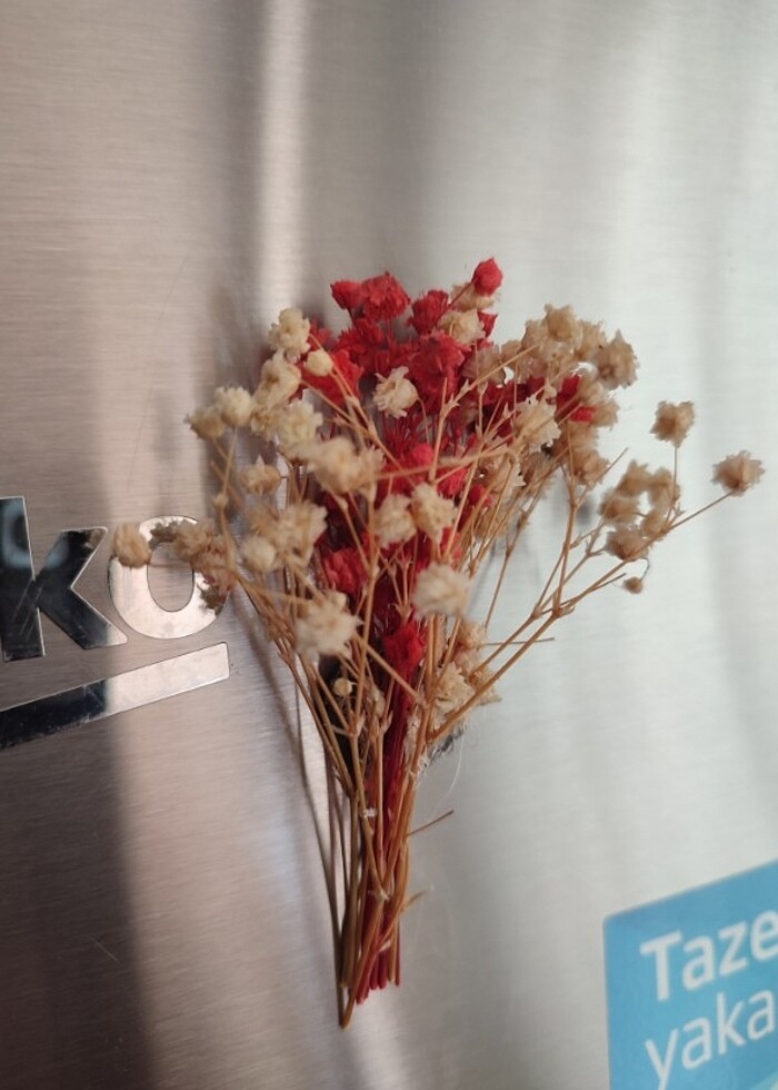 5 Adet Rengarenk Şoklanmış Cipso İle Hazırlanmış Mıknatıslı Dola - Görsel 4