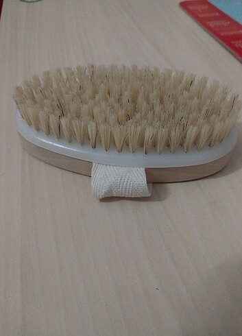  Beden At kılı fırçası