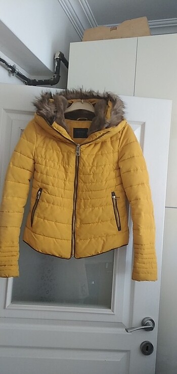 Kışlık mont
