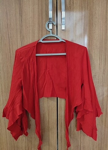 Trendyolmilla Kırmızı Crop Bluz