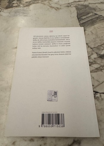 Namık Kemal - Zavallı Çocuk Romanı - Görsel 2