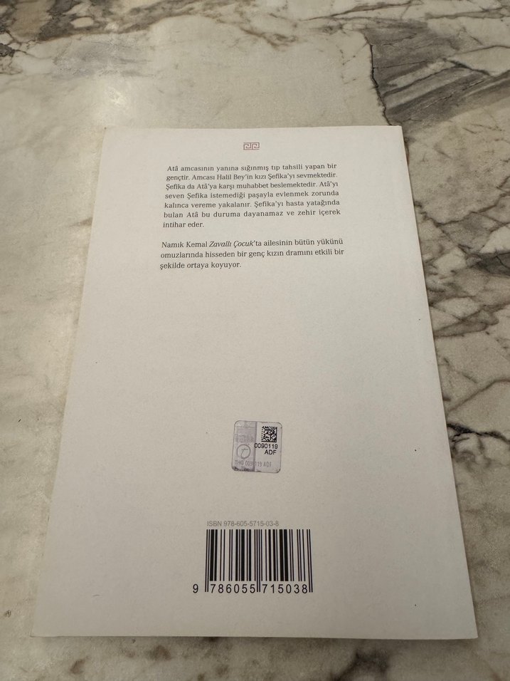 Namık Kemal - Zavallı Çocuk Romanı - Görsel 2