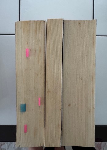 Fi-Çi-Pi Roman Serisi - Akilah Kohen - Görsel 3