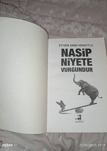 Nasip Niyete Vurgundur - Ethem Emin Nemutlu - Görsel 3