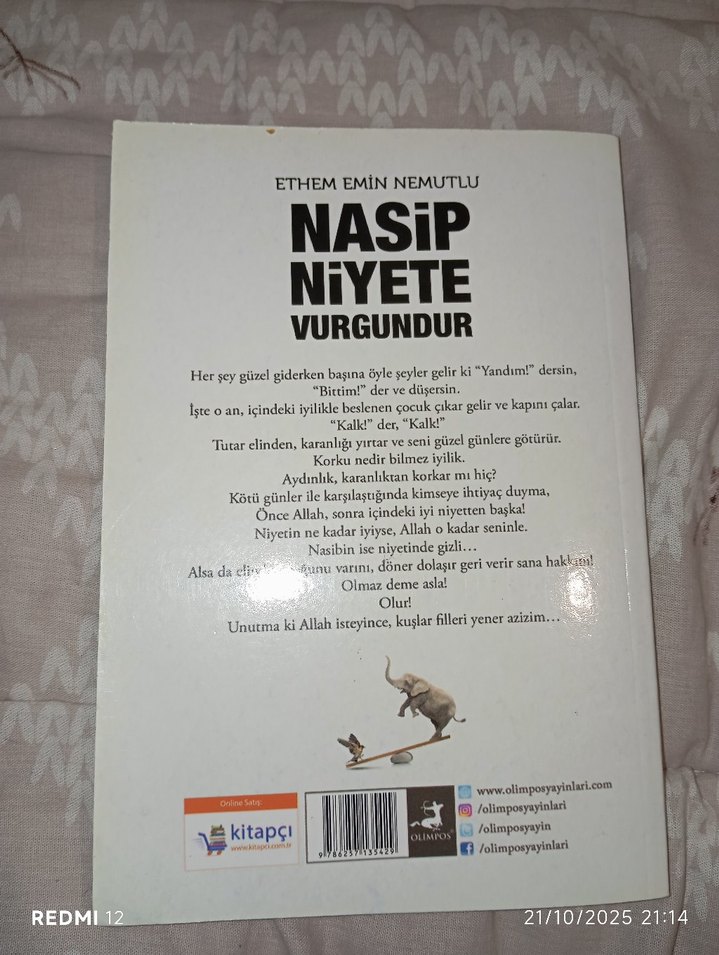 Nasip Niyete Vurgundur - Ethem Emin Nemutlu - Görsel 2