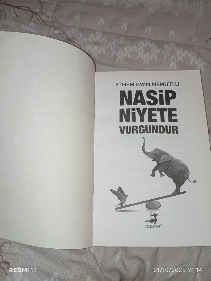 Nasip Niyete Vurgundur - Ethem Emin Nemutlu - Görsel 3