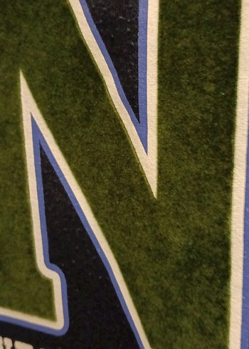 Erkek Çocuk Yeşil Baskılı Sweatshirt - Görsel 4