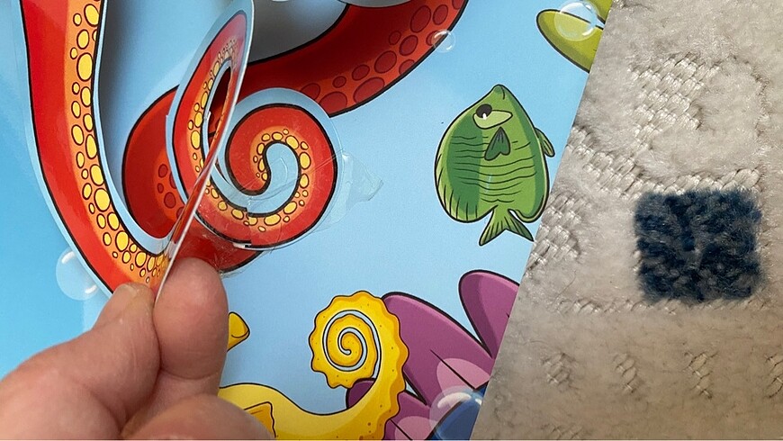 Beden Sincap kitap