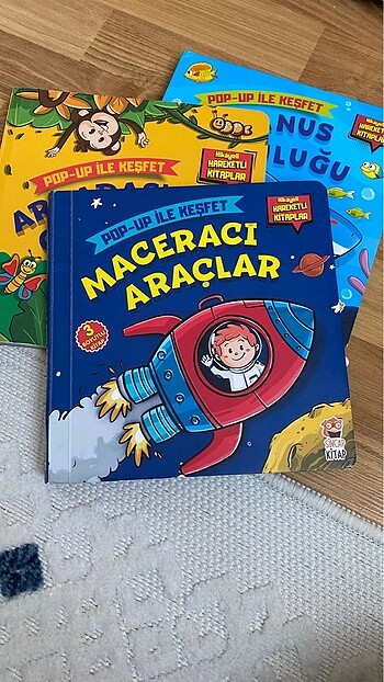 Beden Renk Sincap kitap